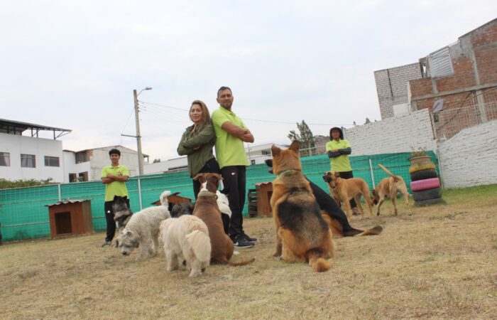 “Guespet Estancia Canina”: Un hogar temporal lleno de amor y cuidado para los peludos de Loja
