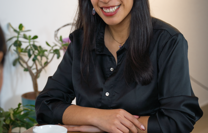 Fiscalizar no es castigar